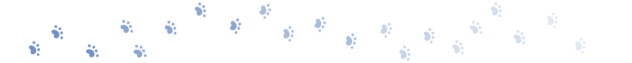 Διαχωριστικά PAWS CAT 2 Οκτ. 2024