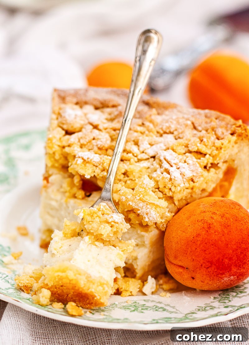Apricot Crumble Cheesecake 2 A slice of Crumb Apricot Cheesecake on a white plate, garnished with fresh mint, with a whole apricot beside it, showcasing the golden crumb topping and creamy filling.