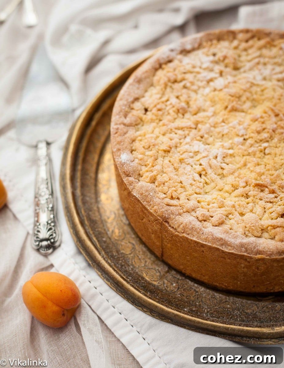 Apricot Crumble Cheesecake 4 Close-up shot of the golden-brown crumb topping on an apricot cheesecake, highlighting the texture and richness.