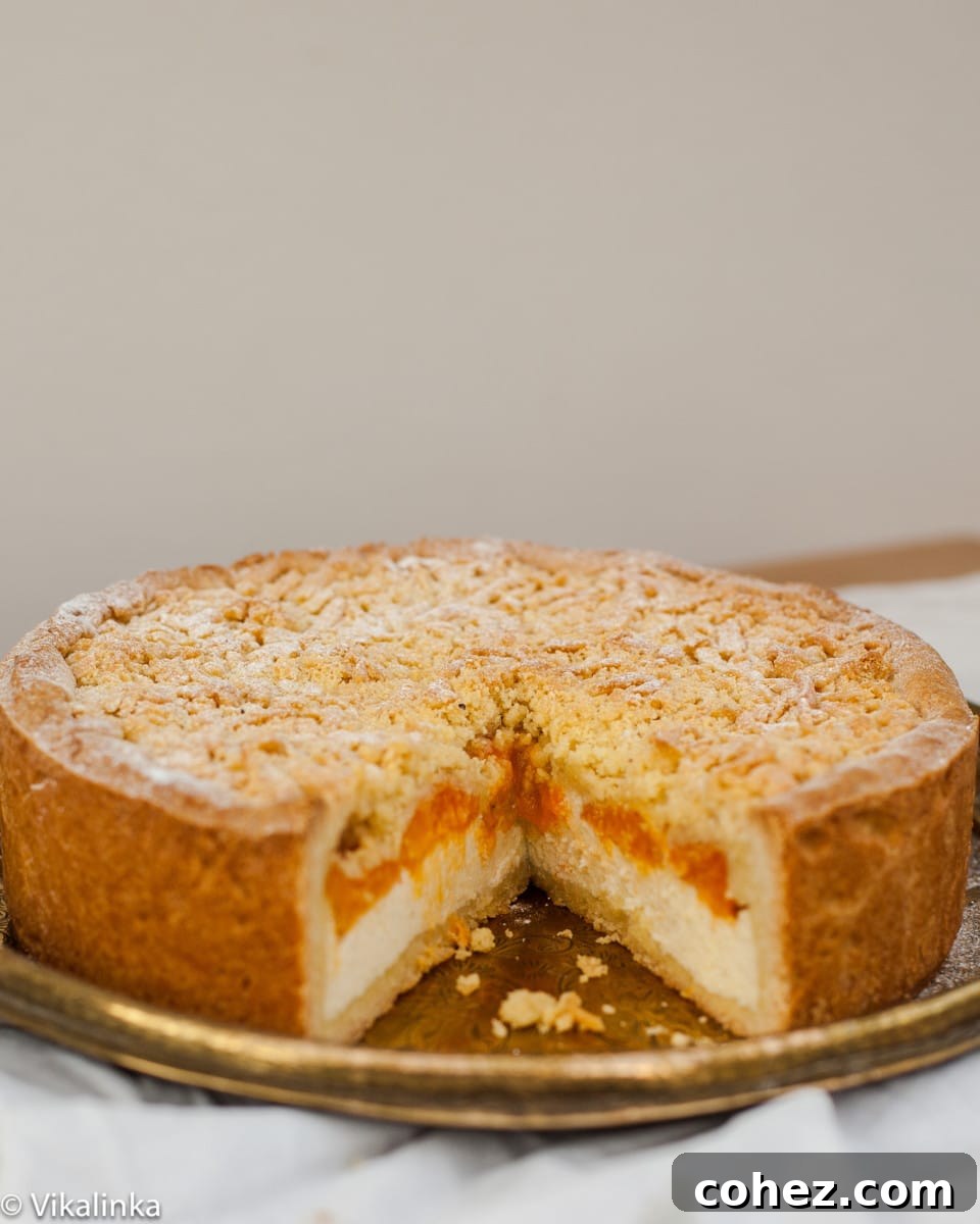 Apricot Crumble Cheesecake 5 A beautiful Crumb Apricot Cheesecake with one perfect slice removed, showing the layers of golden crust, creamy cheese filling, and vibrant apricots.