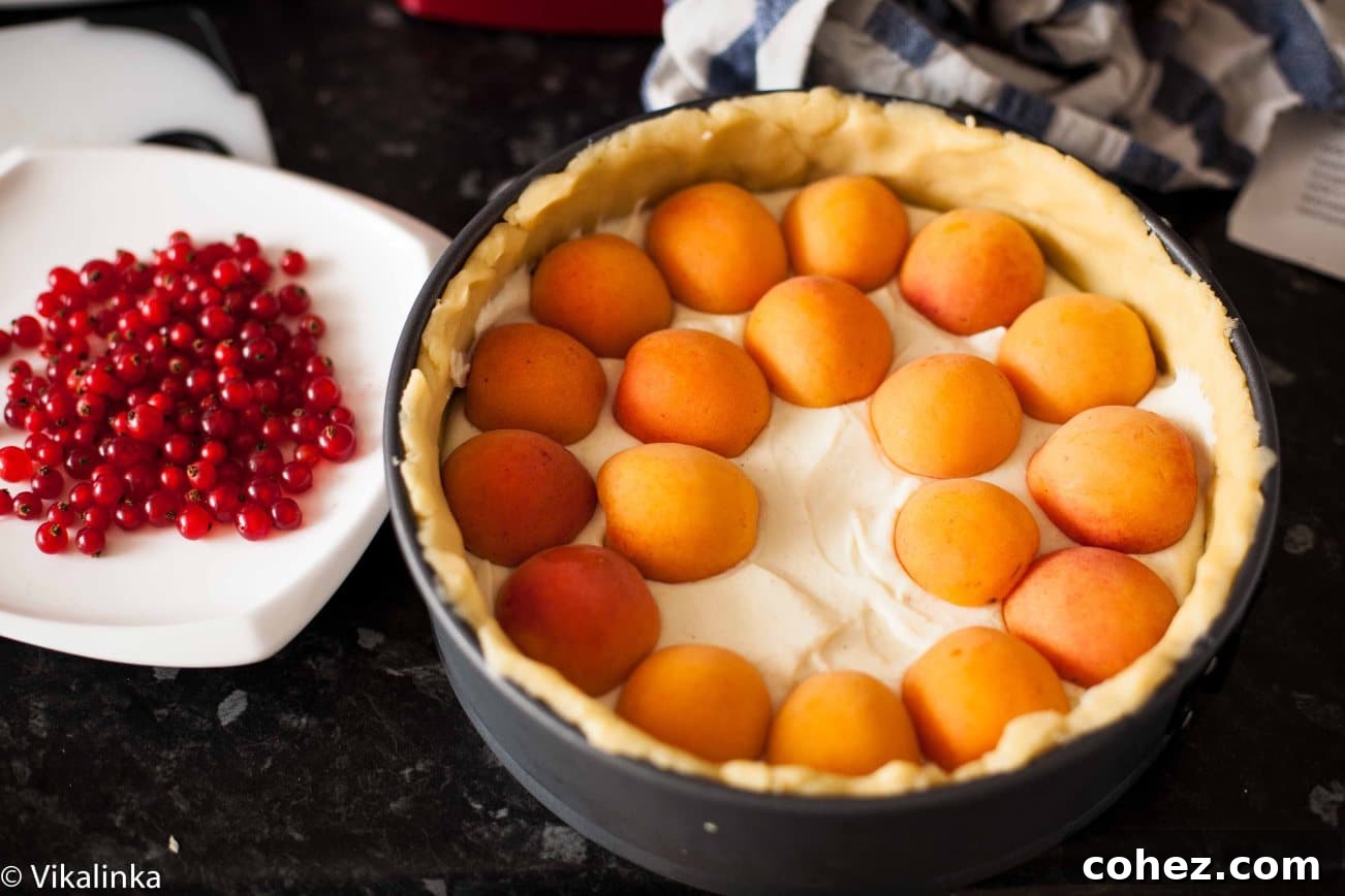 Apricot Crumble Cheesecake 6 Process shot showing fresh apricot halves meticulously arranged on top of the creamy cheesecake filling in a springform pan, prior to baking.
