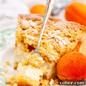 Apricot Crumble Cheesecake 9 Apricot cheesecake with crumb topping on a plate with a fresh apricot next to it