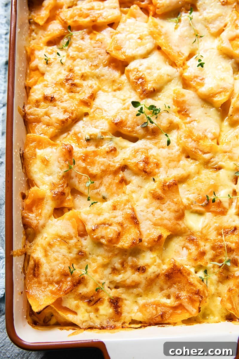 butternut squash gratin in a pan from the top down, steaming slightly