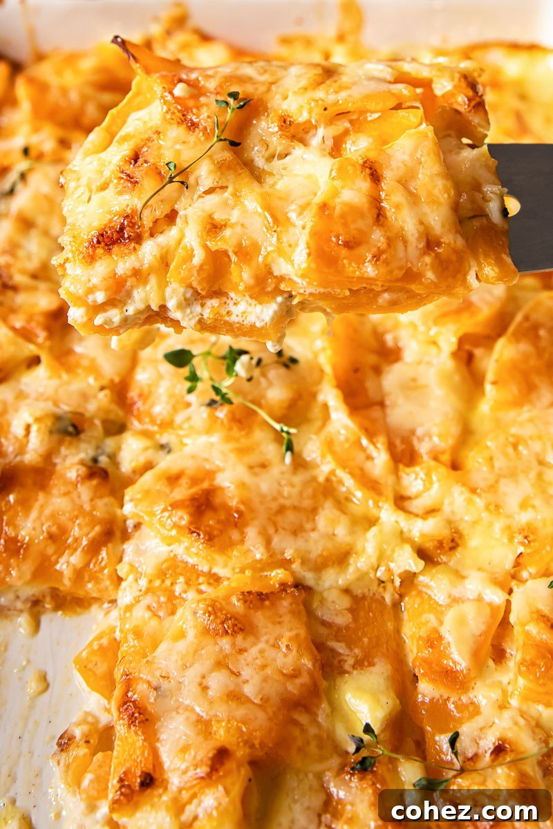 butternut squash gratin up close with piece being removed