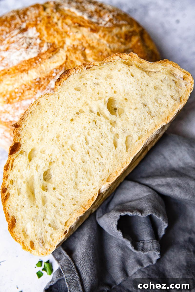 Rustic No-Knead Farmhouse Bread