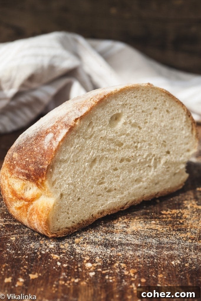 Golden Brown No-Knead Farmhouse Bread