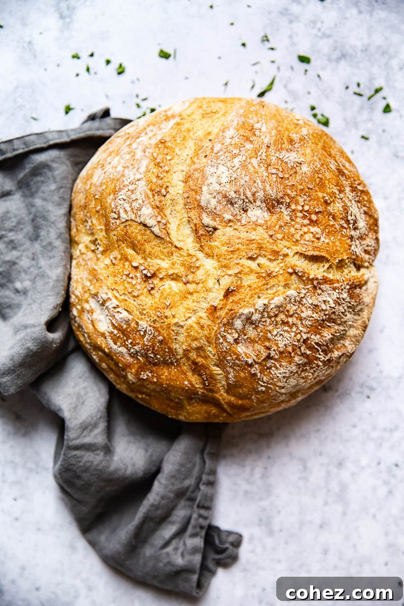 Perfectly Baked No-Knead Farmhouse Bread