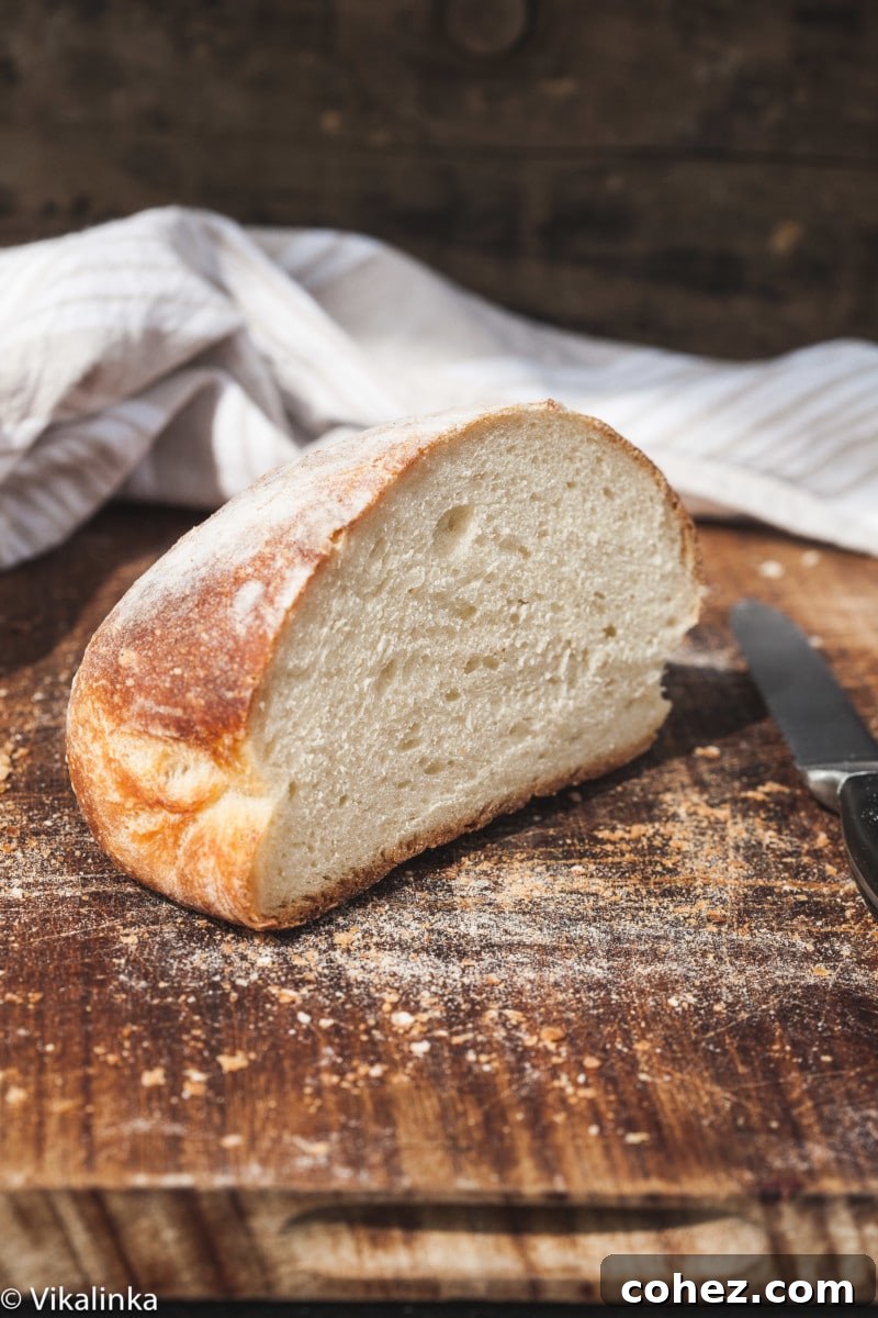 Slice of No-Knead Farmhouse Bread