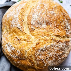 Loaf of no-knead bread from the top