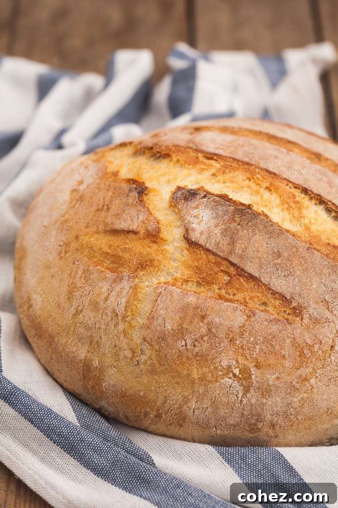 A loaf of dutch oven bread on a towel