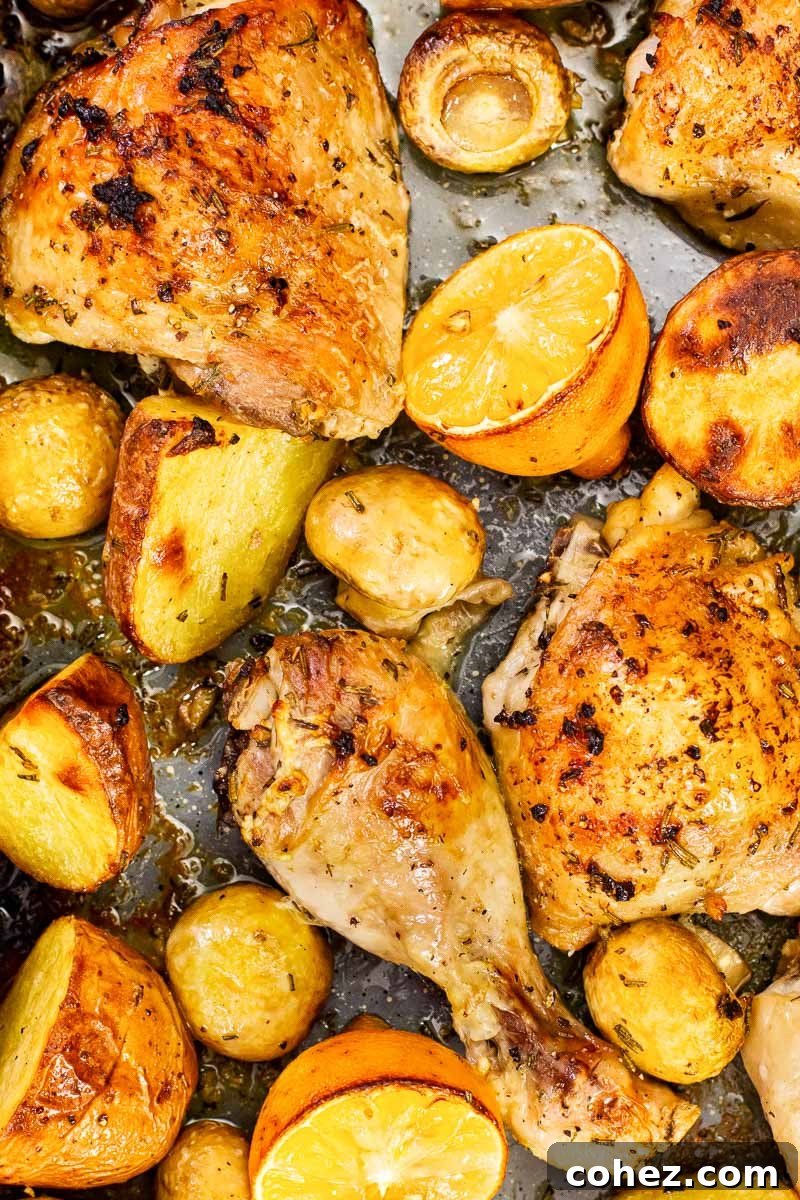 Close-up of roasted chicken and potatoes with perfectly browned mushrooms