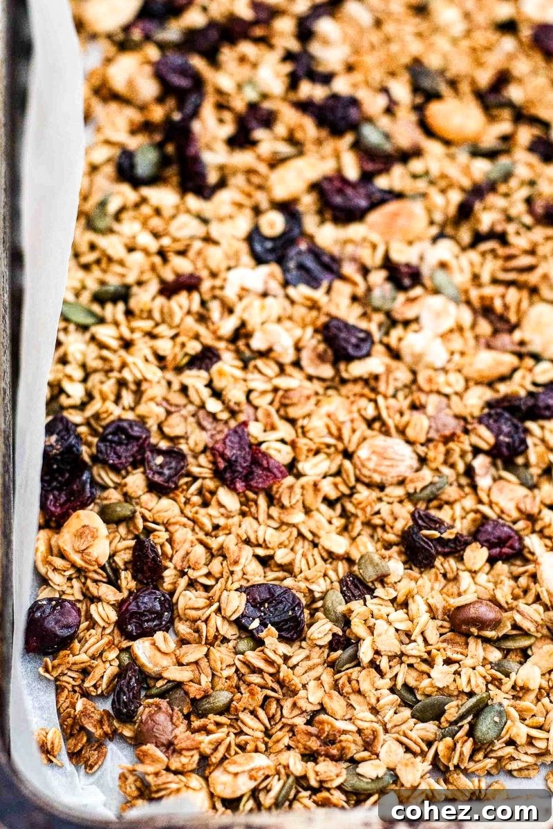 close up of black forest granola in pan