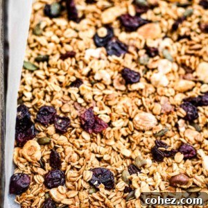 close up of black forest granola in pan