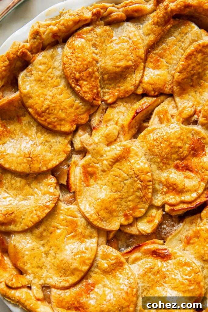 Close-up, top-down view of the rustic and artfully arranged mini apple cutouts forming the top crust of the apple pie.