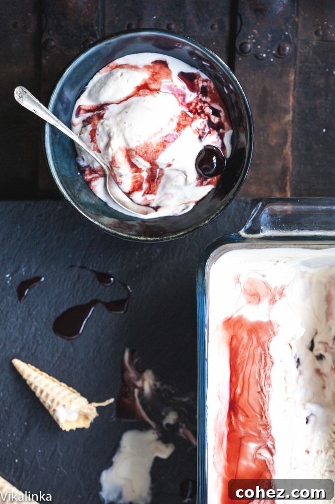 Bowl of amarena gelato from the top down, showcasing its rich texture and cherry swirls.
