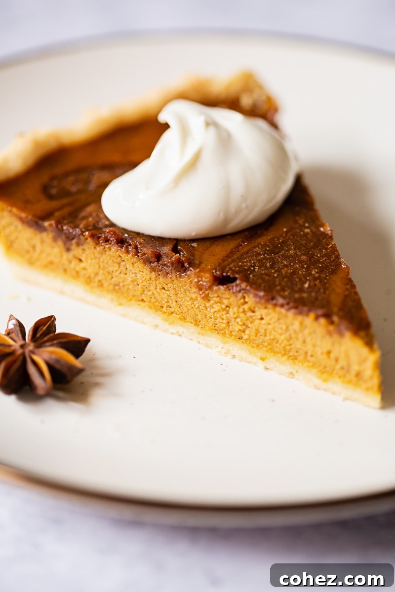 Chocolate Swirl Pumpkin Bliss 3 A perfectly baked slice of chocolate swirl pumpkin pie, adorned with fluffy whipped cream and a sprinkle of maple sugar, ready to be savored.