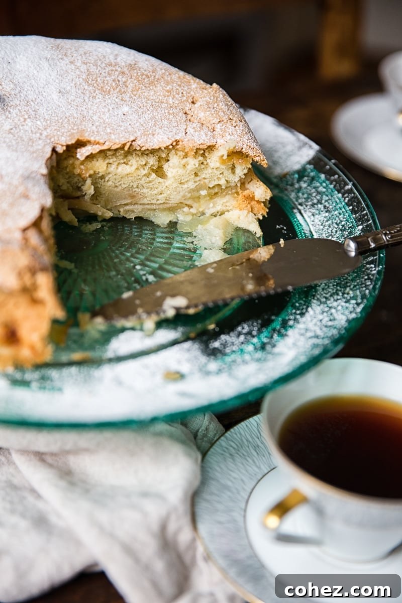 Classic Apple Sharlotka 3 A side shot of a baked Apple Cake Sharlotka with a slice cut out, revealing the soft interior and apple pieces.