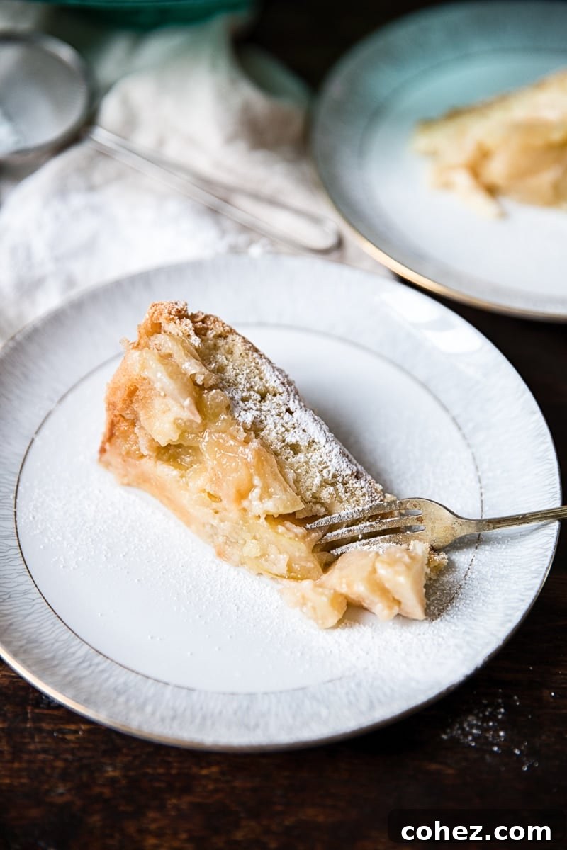 Classic Apple Sharlotka 6 A single slice of Apple Cake Sharlotka on a plate, close up, showing its beautiful golden crust and soft texture.