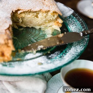 side shot Apple Cake Sharlotka with piece cut out