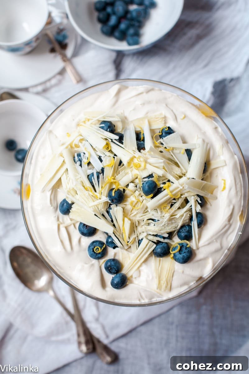An overhead view showcasing the artfully arranged Lemon Blueberry Trifle, adorned with white chocolate shavings and fresh blueberries, ready to be served.
