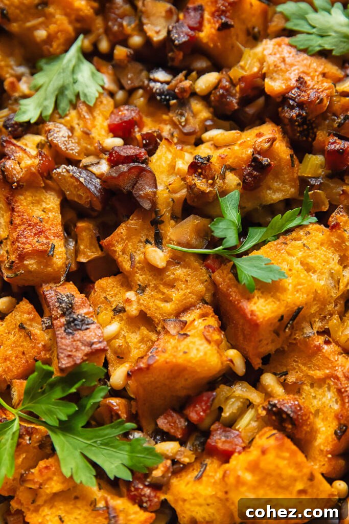 Close up shot of chorizo stuffing with visible sourdough bread chunks, dried figs, and chopped chestnuts, showcasing its rustic texture.
