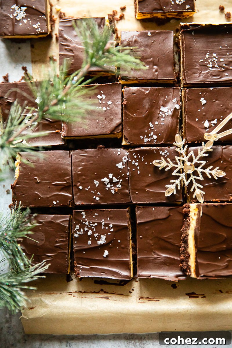 Nanaimo Bars A True Canadian Treat 3 Top-down view of chocolate covered Nanaimo Bars sprinkled with delicate flaked sea salt.