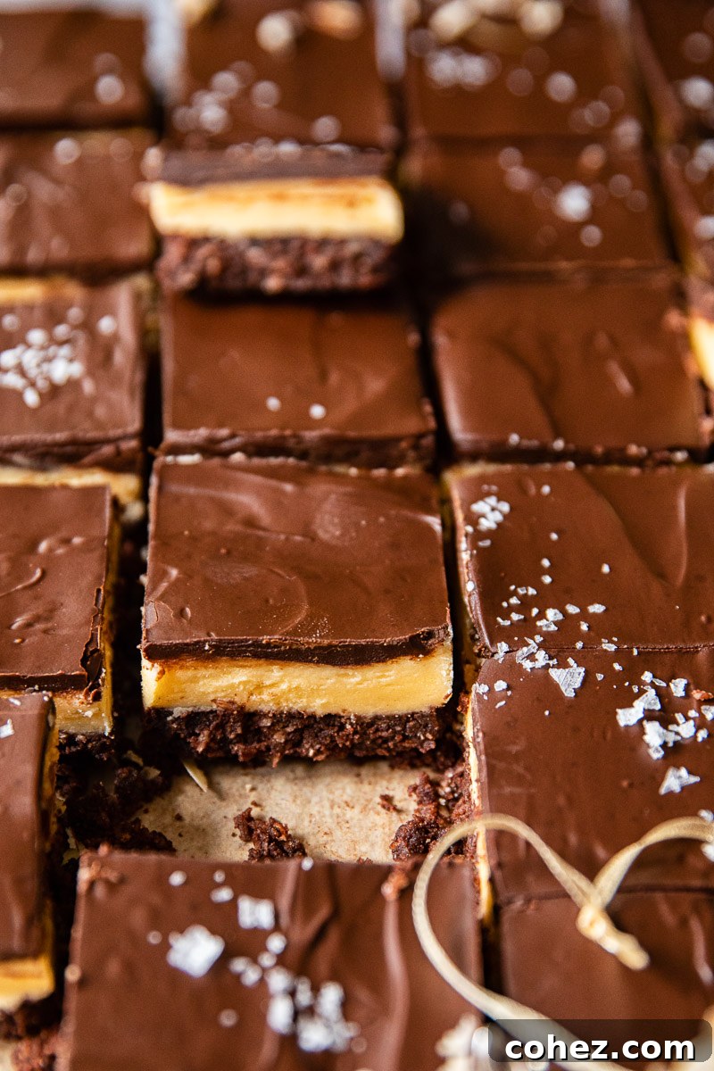 Nanaimo Bars A True Canadian Treat 5 Nanaimo Bars with all three layers perfectly exposed after cutting, showing the base, custard, and chocolate.