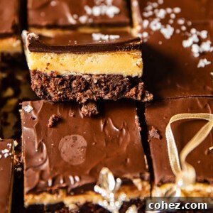 Nanaimo Bars close up