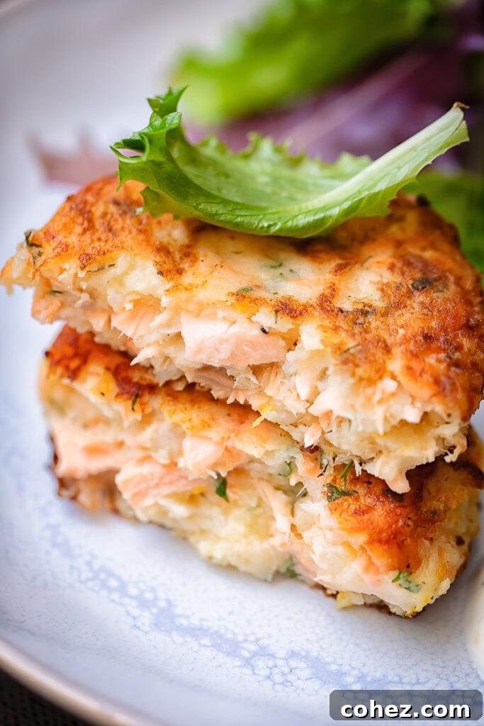 Close up shot of two pieces of salmon cake stacked on top of each other on a plate