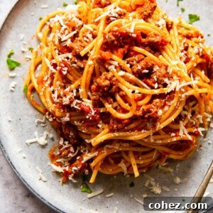 spaghetti with tomato meat sauce