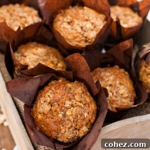 Hearty Carrot Oatmeal Muffins 5 Carrot oatmeal muffins in a bread box