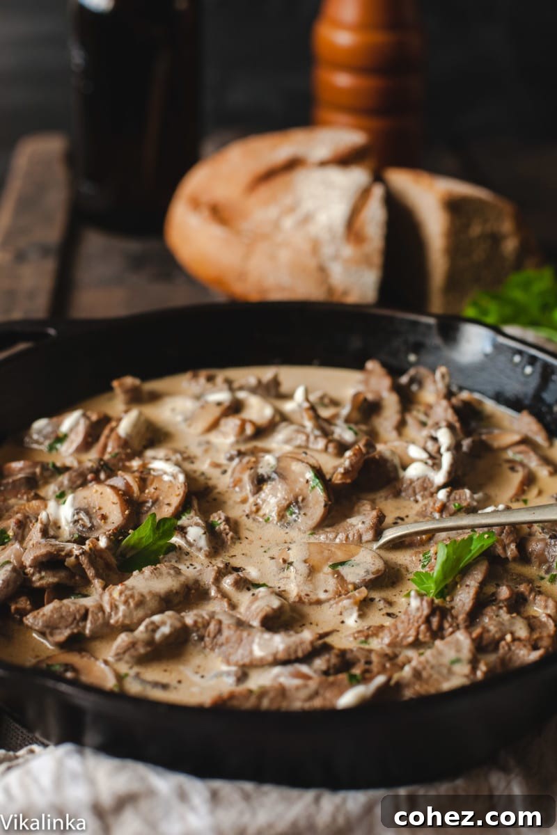 Authentic Russian Beef Stroganoff, perfectly plated with rye bread in the background.