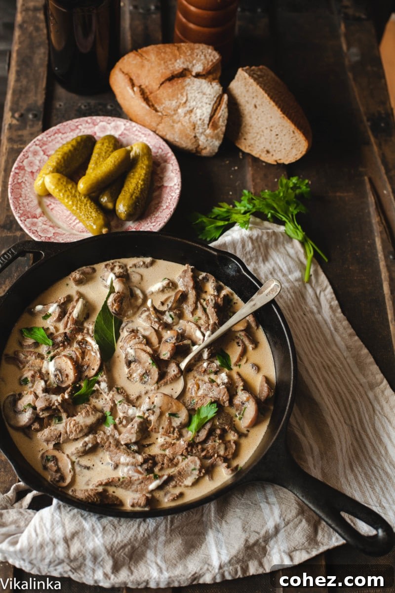 Plated Beef Stroganoff with pickles and rye bread on a rustic wooden table.