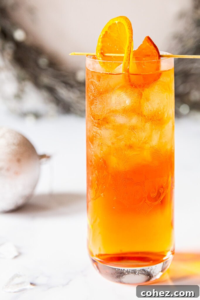 Negroni Sparkle 2 Side view of negroni fizz with orange as garnish