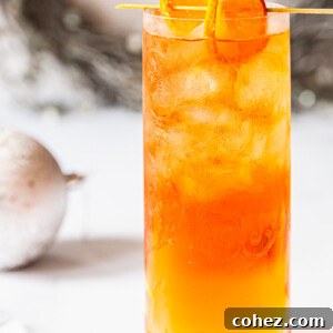Negroni Sparkle 6 Side view of negroni fizz with orange as garnish