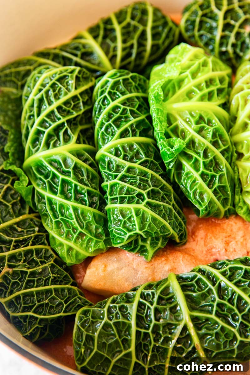 Grandma's Authentic Golubtsi Cabbage Rolls 4 Uncooked Savoy cabbage rolls, neatly arranged before baking. The delicate texture of Savoy leaves is visible, showcasing the prepared beef, pork, rice, and vegetable filling.