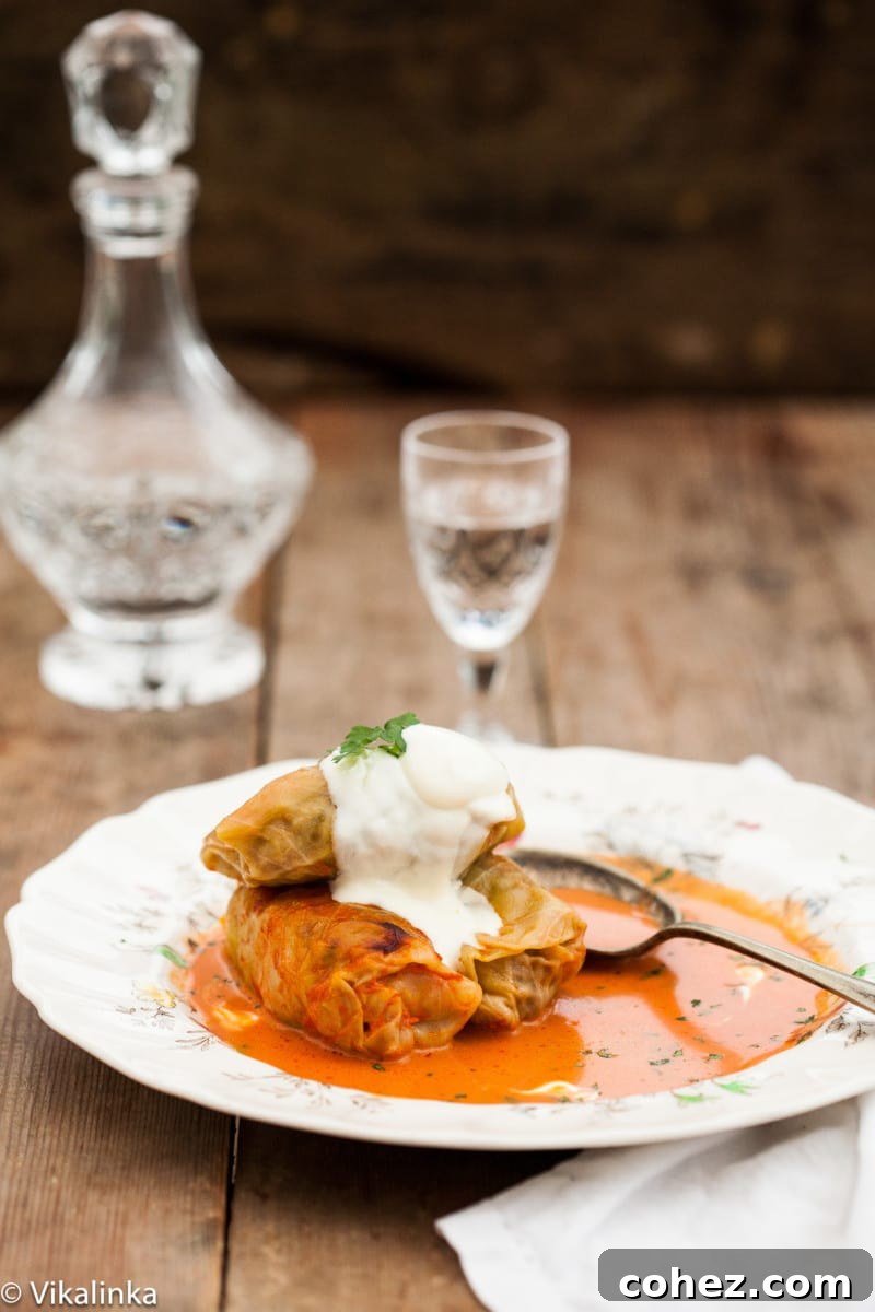 Grandma's Authentic Golubtsi Cabbage Rolls 6 Three perfectly cooked cabbage rolls, glistening with creamy tomato sauce, arranged on a white plate with fresh dill garnish, ready for serving.