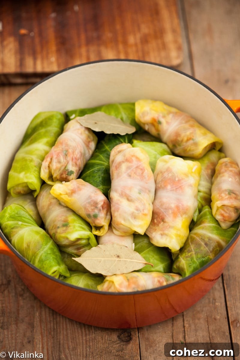 Grandma's Authentic Golubtsi Cabbage Rolls 7 A large tray filled with expertly rolled, uncooked cabbage rolls, ready to be covered with sauce and baked. The organized preparation hints at the delicious meal to come.