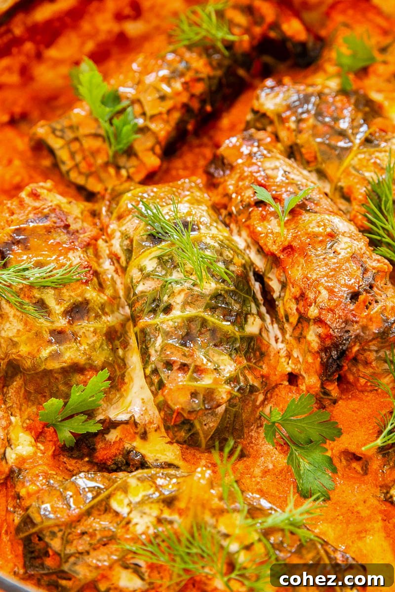 Grandma's Authentic Golubtsi Cabbage Rolls 8 A vibrant close-up of cooked stuffed cabbage rolls nestled in a rich, creamy tomato sauce, garnished with fresh herbs, showcasing their appetizing appeal.
