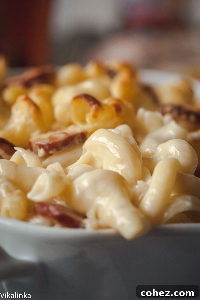 Close-up of bubbling, golden-brown cheesy baked mac and cheese.