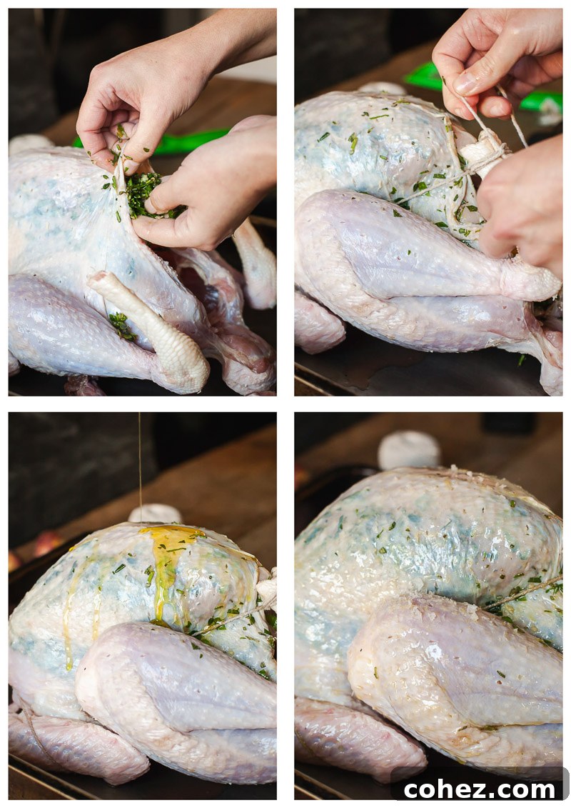 Mastering the Art of Perfect Turkey Roasting 6 A visual guide showing the process of preparing a raw turkey, including applying an herb rub under the skin, stuffing the cavity, and trussing the bird with kitchen twine before roasting.