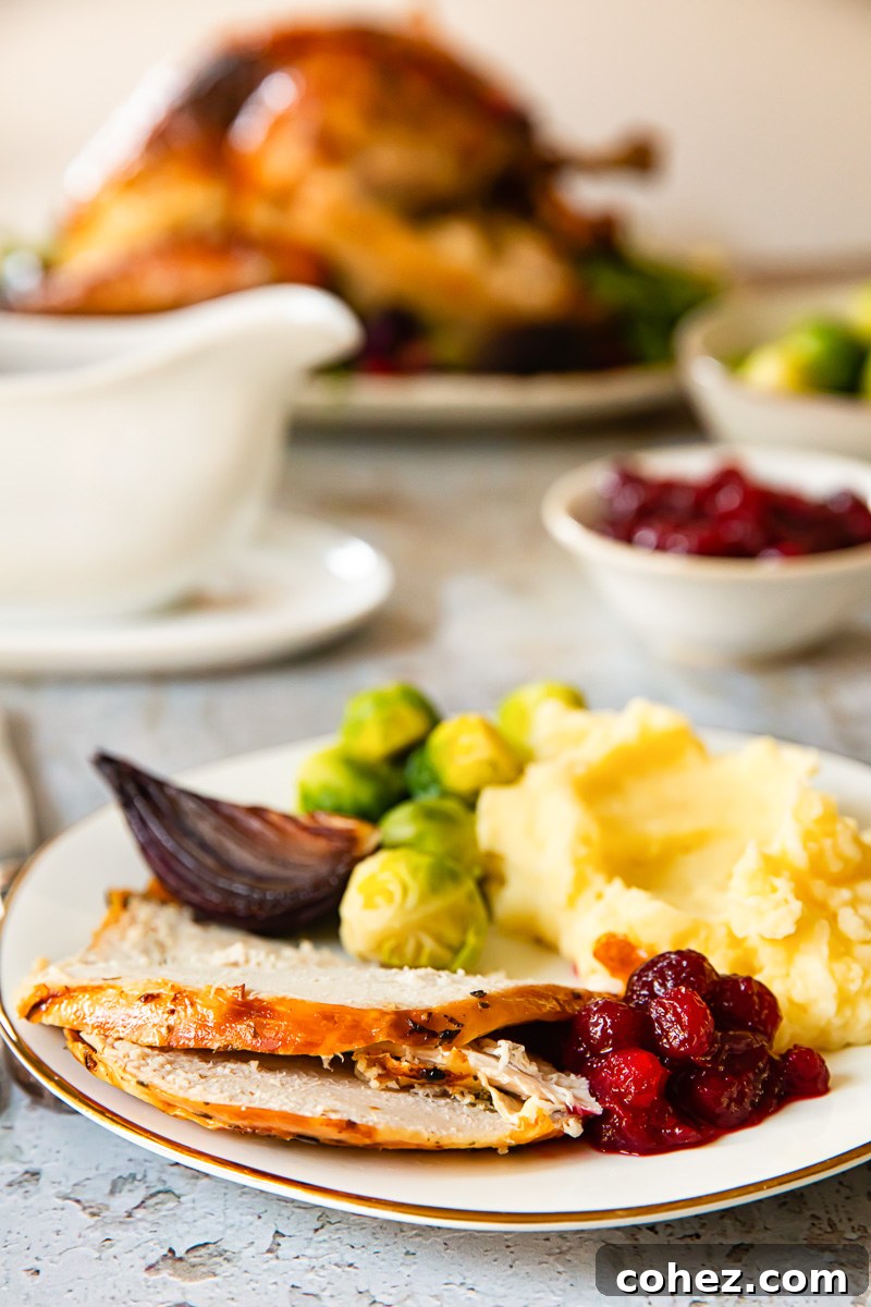 Mastering the Art of Perfect Turkey Roasting 7 A festive holiday plate featuring perfectly sliced roast turkey alongside a vibrant green bean casserole and a spoonful of tangy cranberry sauce, creating a balanced and appealing meal.
