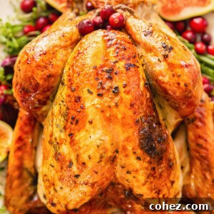 Top-down view of a golden roasted turkey on a festive platter