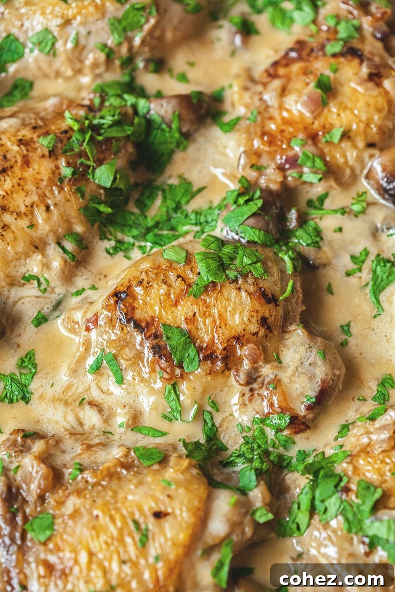 Close up of chicken in the white wine sauce