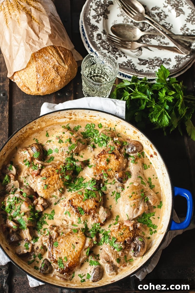 Savory White Wine Chicken 4 Top down of coq au vin blank in a pan
