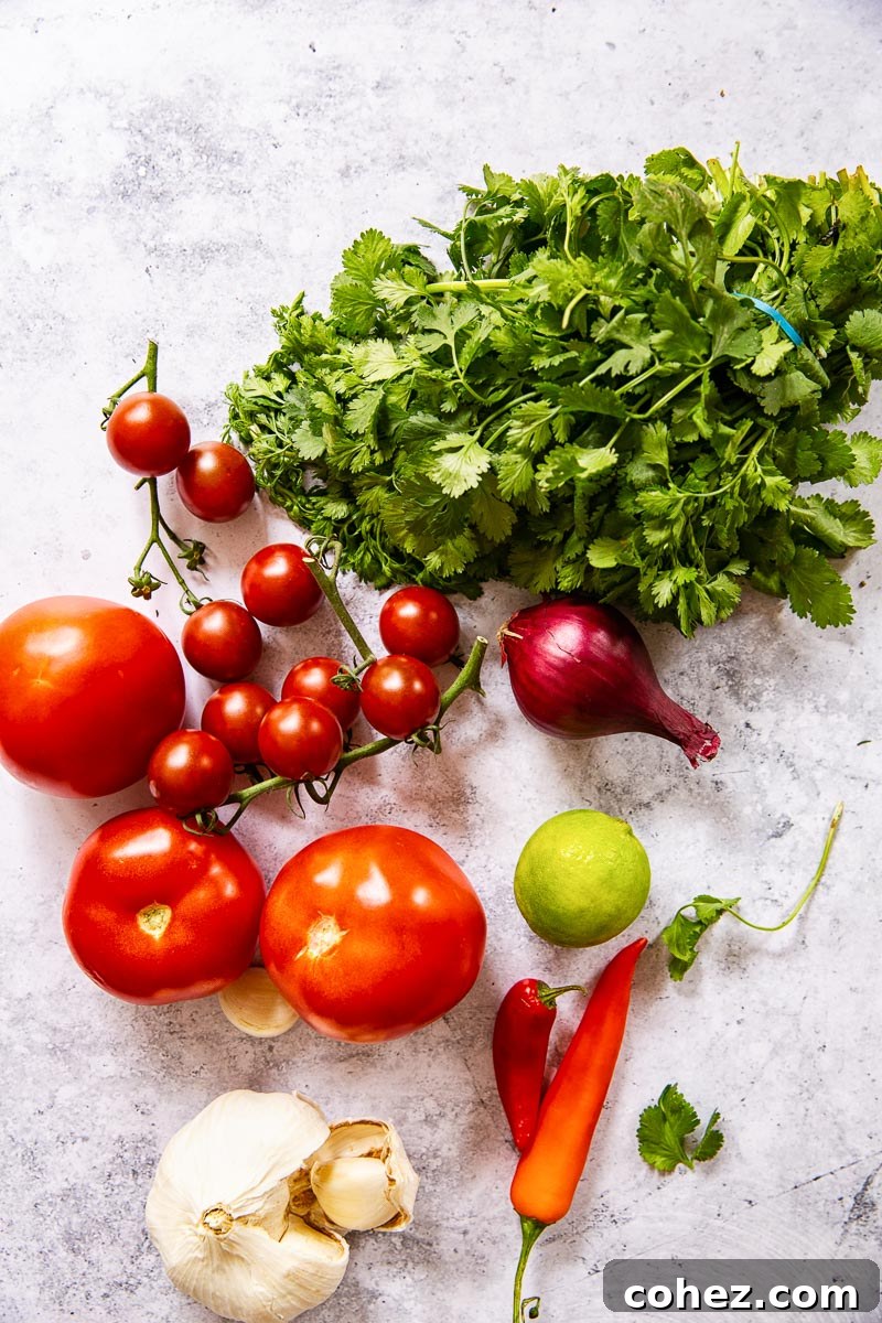 Fresh 5-Minute Blender Salsa 3 A close-up shot of fresh pico de gallo ingredients – vibrant tomatoes, onions, garlic, and cilantro – arranged before blending.