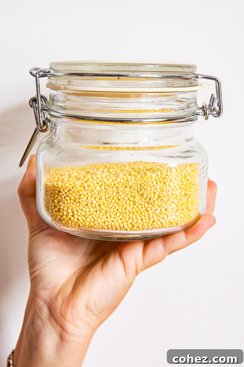 Close-up image of raw millet grains stored in a clear mason jar, showcasing their small, round form.