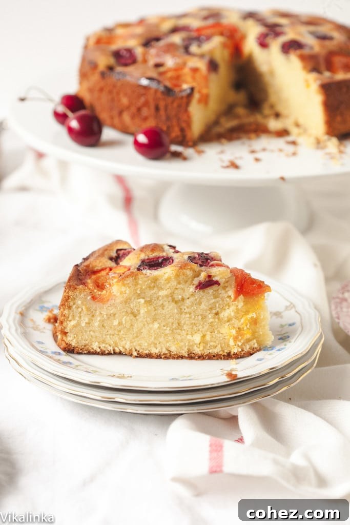 A close-up of a cut slice of the cherry and apricot cake, revealing the moist, tender crumb of the sponge studded with fruit, with the remaining cake in the background.