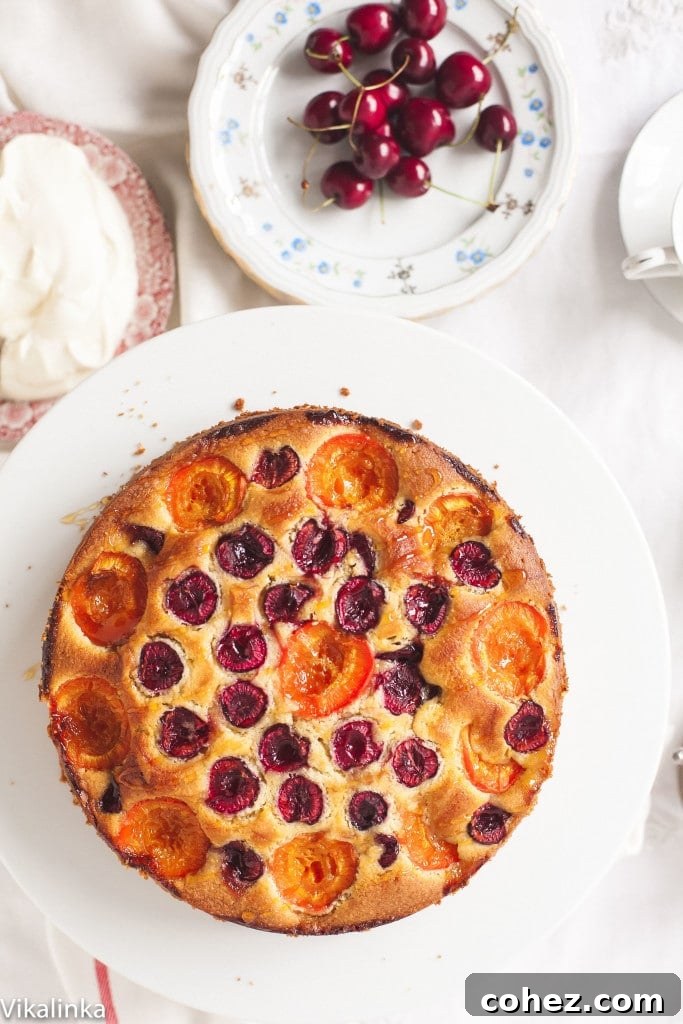 The baked cherry and apricot cake presented on a platter, accompanied by a small plate of fresh cherries, inviting a delightful dessert experience.