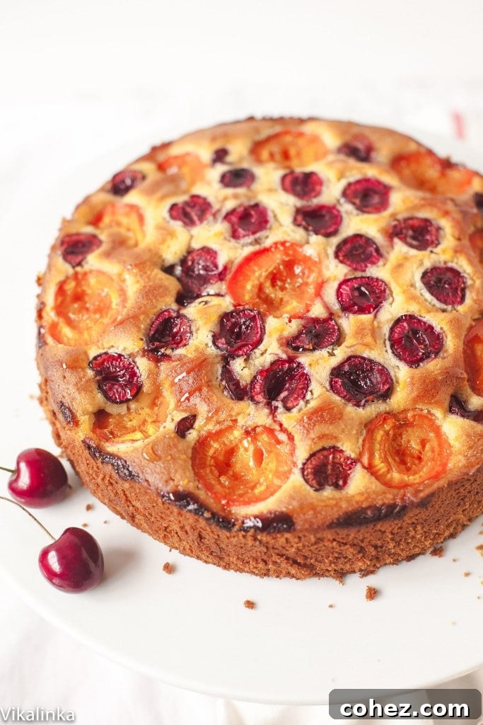 The fully baked cherry and apricot cake displayed on a elegant cake stand, garnished with two fresh cherries, highlighting its readiness for serving.